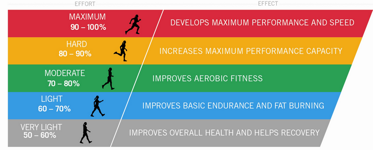 Training Tip: Using Heart Rate Zones for Maximum Cardiovascular Benefits -  MISSION: Capable.